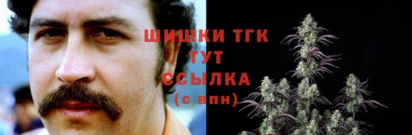 соль курить ск Бородино