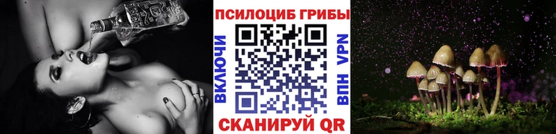 Псилоцибиновые грибы Magic Shrooms  что такое   это какой сайт  Горняк 